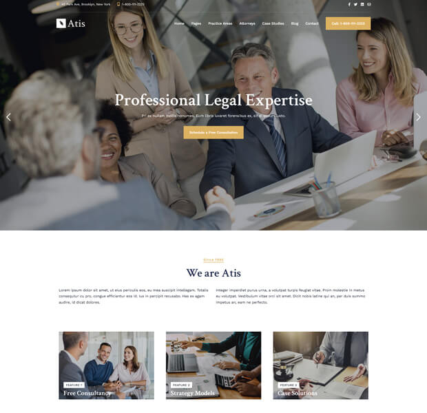 Lawyers Consulting Theme Atis 7
