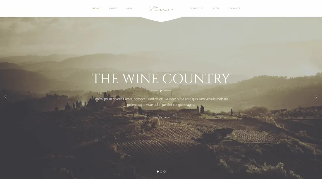 Bar & Pub theme - Vino