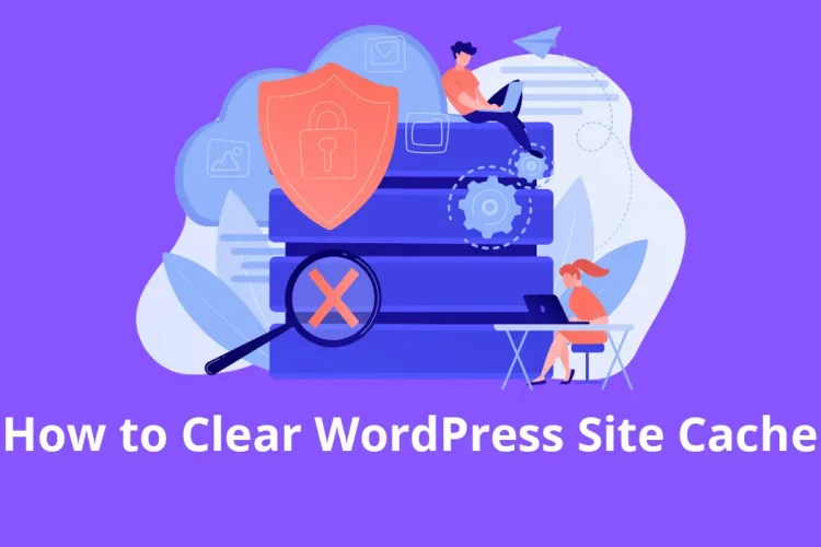 How to Clear WordPress Site Cache: 3 Simple Methods ( with plugins, CDN and  browsers )