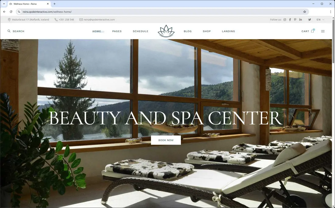 Reina - Spa and Wellness WordPress Theme