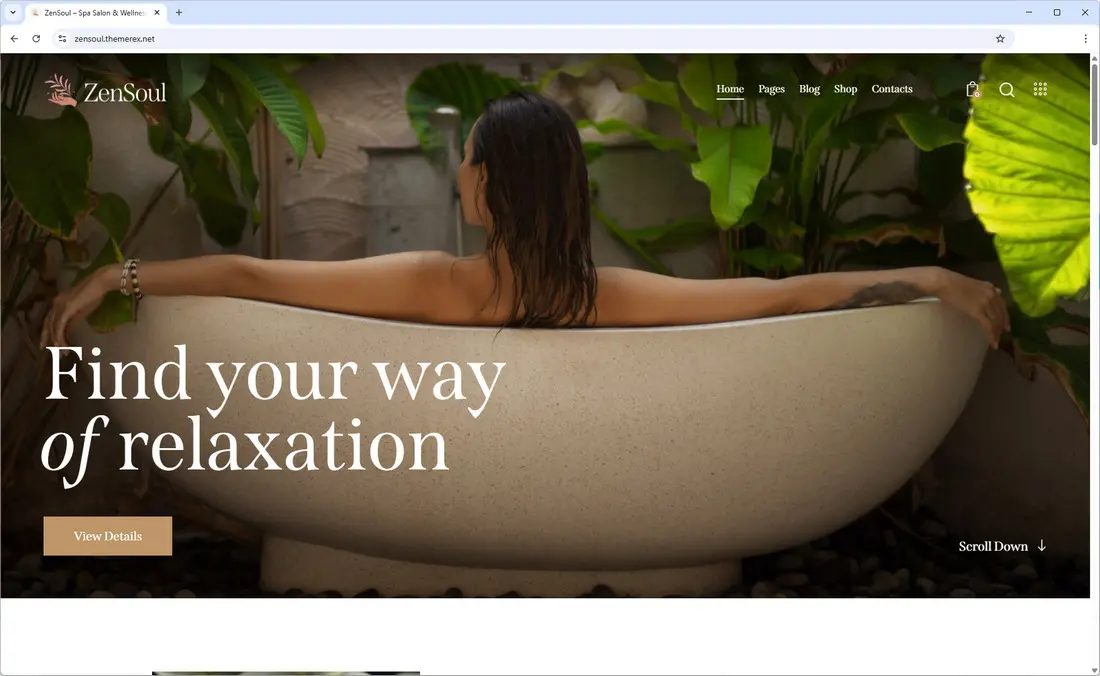 ZenSoul - Spa Salon & Wellness WordPress Theme + AI